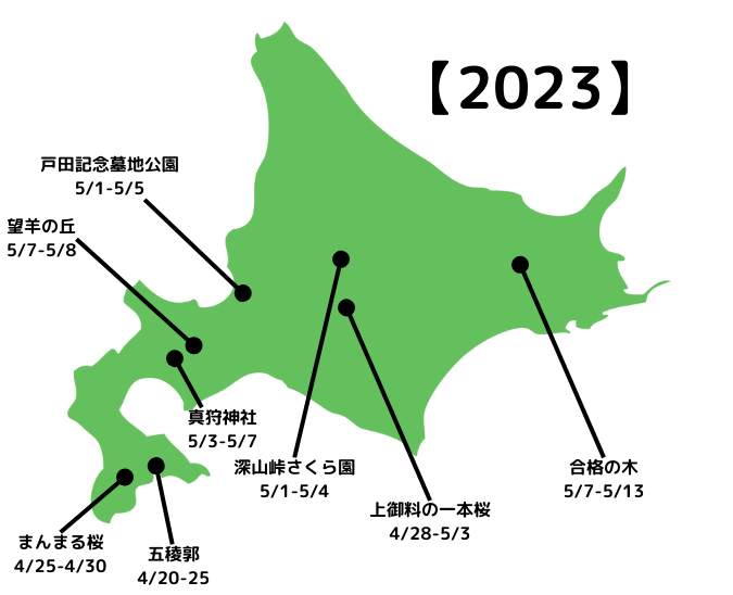 桜 2023