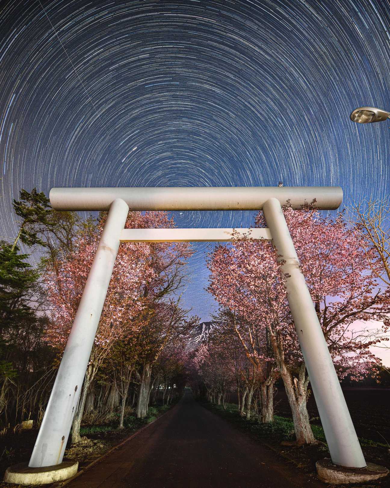 真狩神社の写真