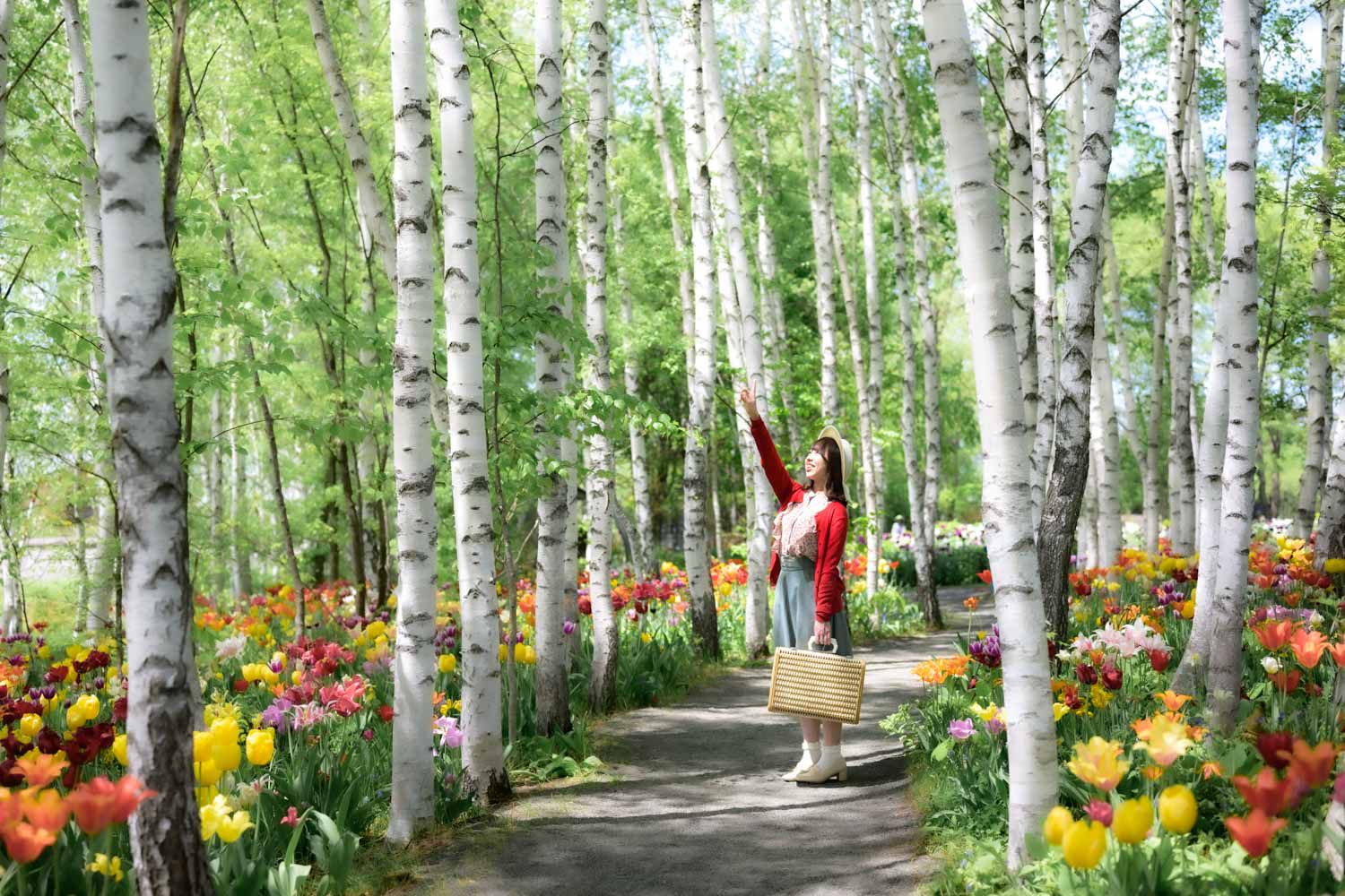 上野ファーム (白樺)の写真