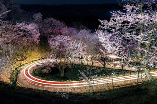 深山峠さくら園 (夜)