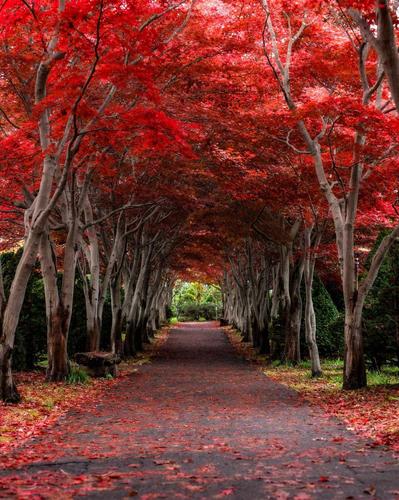 平岡樹芸センター